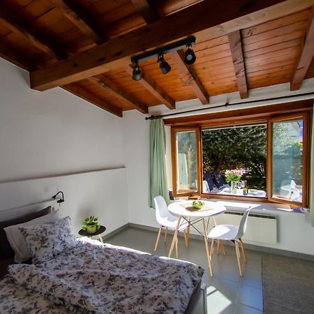 Rustico Al Sole - Just Renewed 1Bedroom Home In Ронко-сопра-Аскона Экстерьер фото