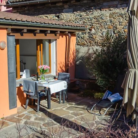 Rustico Al Sole - Just Renewed 1Bedroom Home In Ронко-сопра-Аскона Экстерьер фото